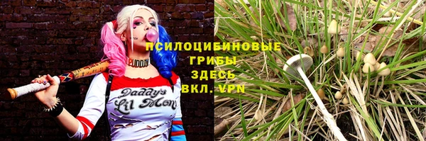мескалин Алексин