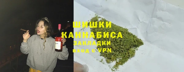 прущие грибы Россошь
