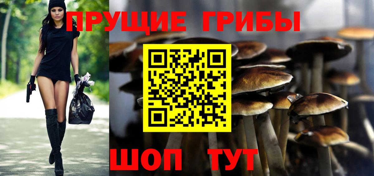 Псилоцибиновые грибы прущие грибы Дмитров